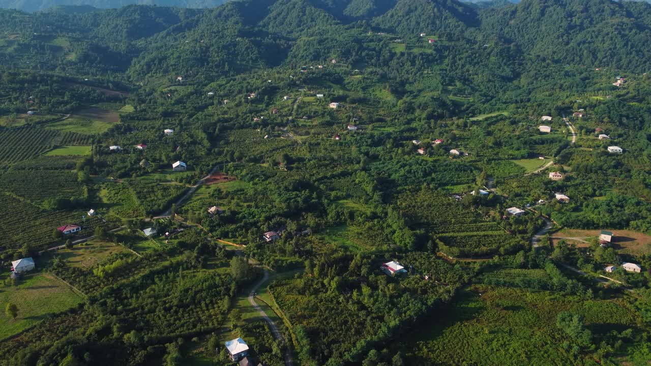 绿色的村庄在夏天的空中视频素材