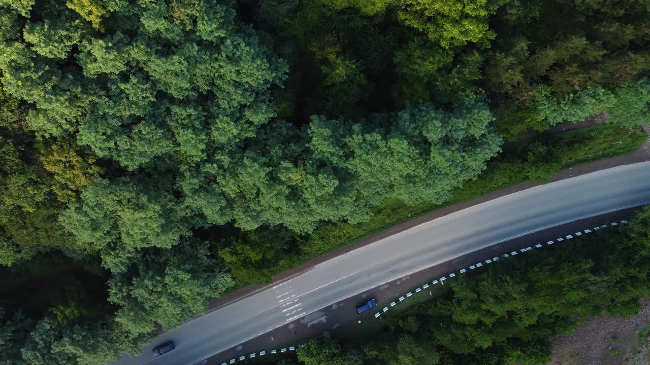 公路在森林中架空视频素材