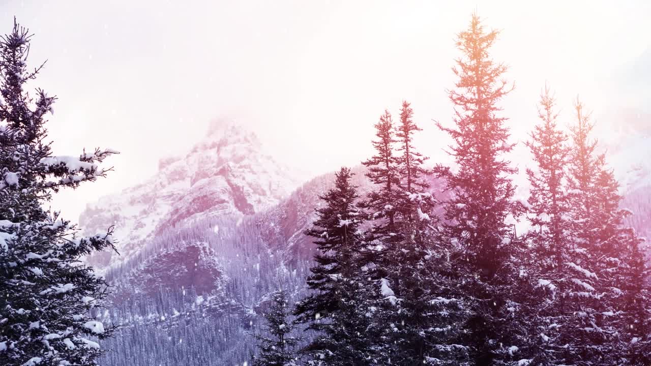 动画的雪落在冷杉树在冬季风景背景视频素材