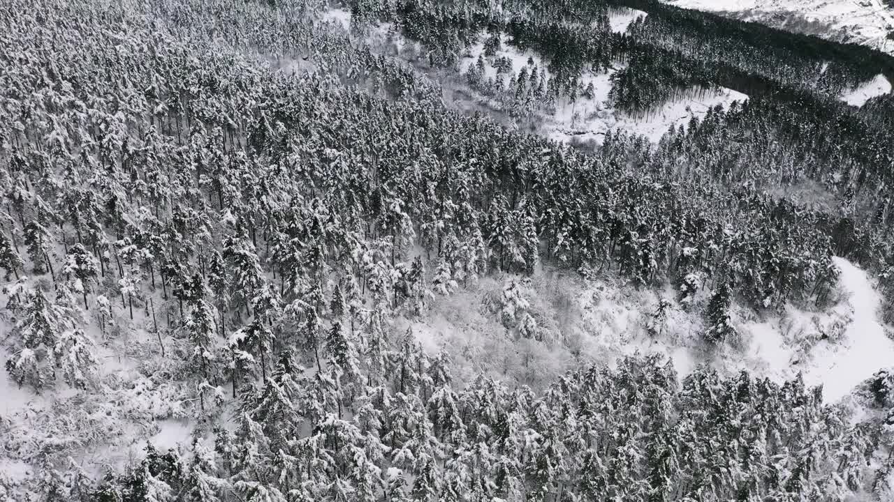 电影航拍冬季雪林景观山坡倾斜视频下载