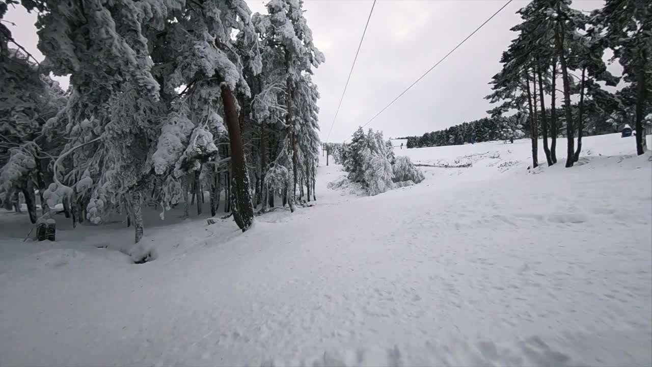 冬季森林的大雪，FPV竞赛无人机飞过树木。视频素材