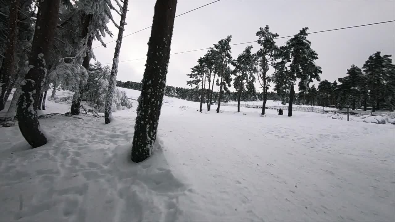 近距离FPV无人机在雪域冬季森林飞行。相机视图。视频素材