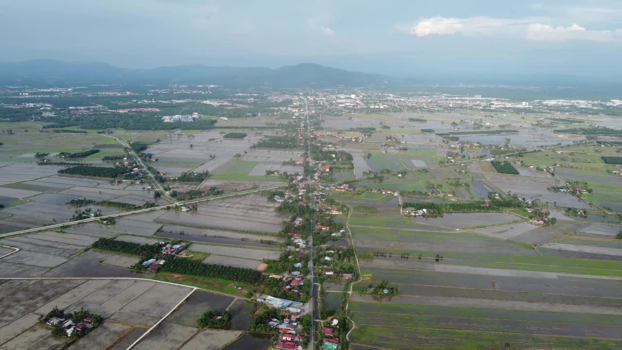 鸟瞰槟城和霹雳州边境的稻田视频素材