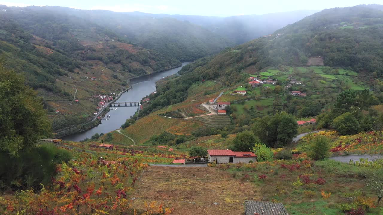 在西班牙加利西亚的秋天，从Ribeira Sacra (DO)葡萄园的silcanyon河。-无人机射击视频下载