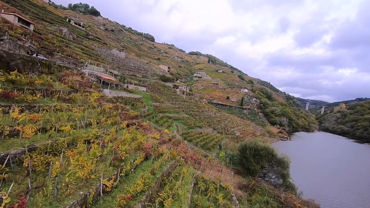 Ribeira Sacra酒庄，动态FPV竞赛无人机飞过葡萄藤。观点视频素材