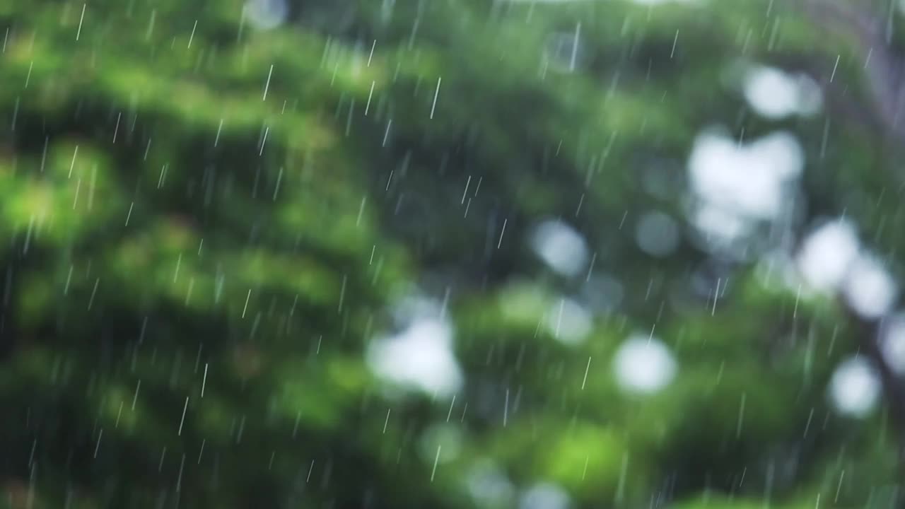 雨落自然背景。视频素材