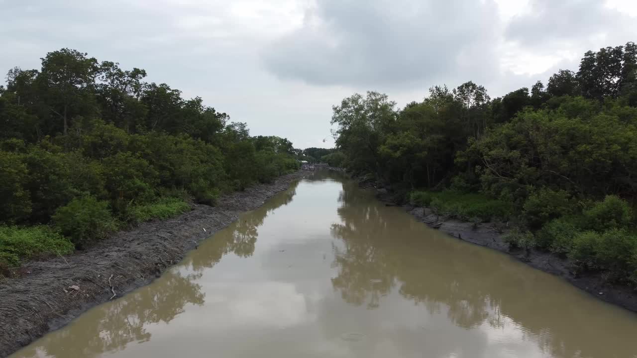 空中移动的河流与红树视频素材