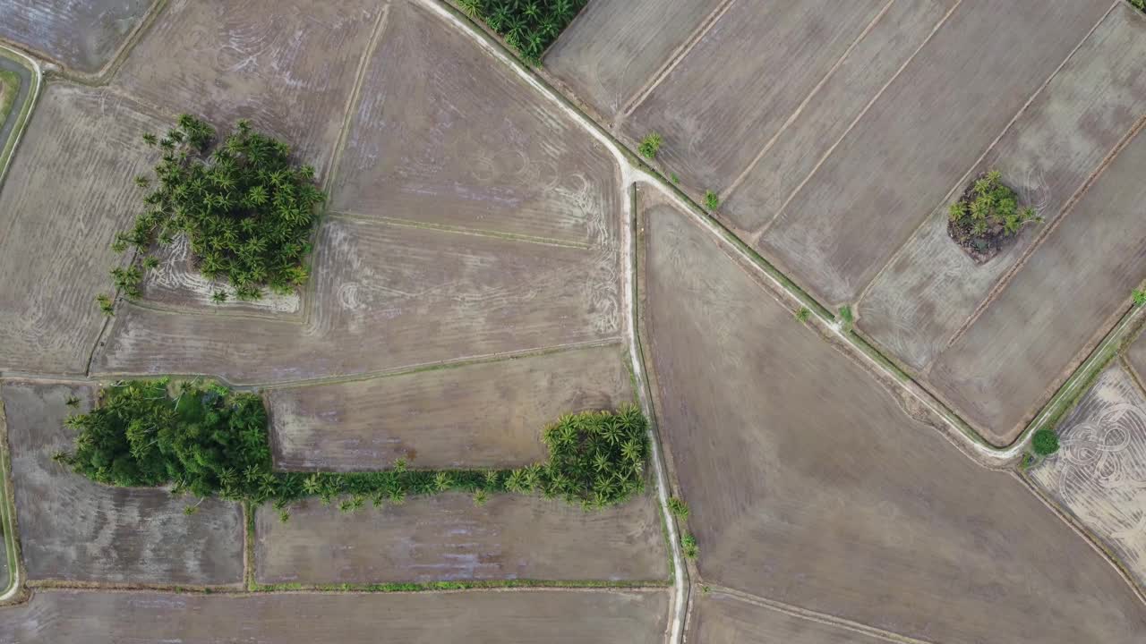 鸟瞰耕作期间干燥的稻田视频素材