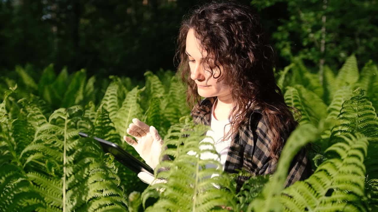 生物学家检查森林中的植物，并将数据写入平板电脑。中年科学家分析树叶视频素材