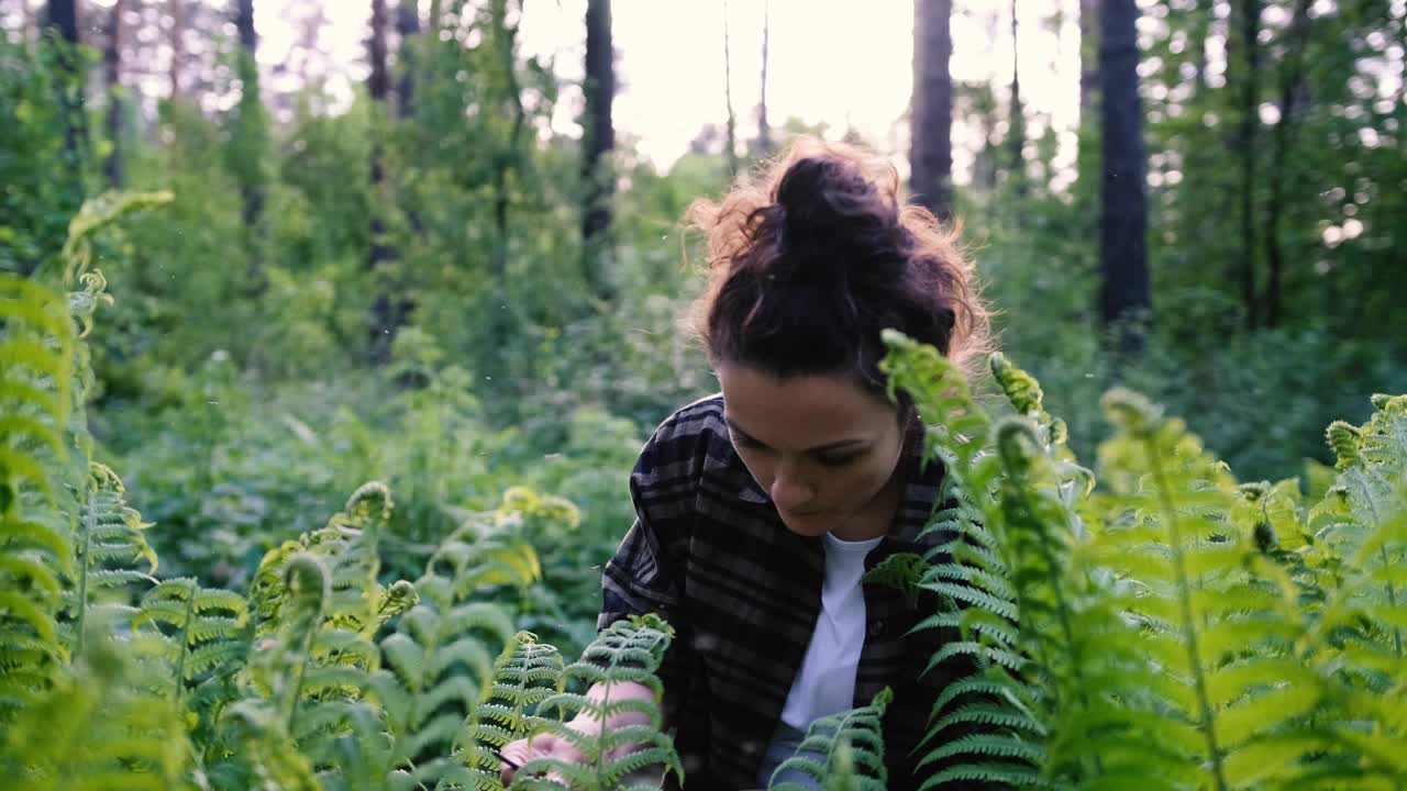 一位生物学家正在研究森林里的植物。中年女性科学家分析树叶视频素材