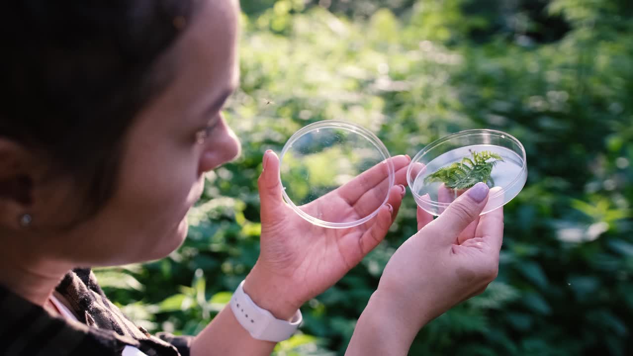 一位生物学家在检查森林里的一种植物。中年科学家分析树叶视频素材