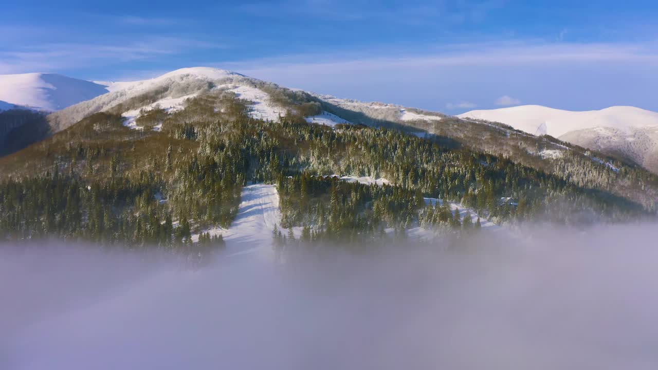 雾蒙蒙的山谷覆盖着白雪覆盖的山脉和绿色的森林视频素材