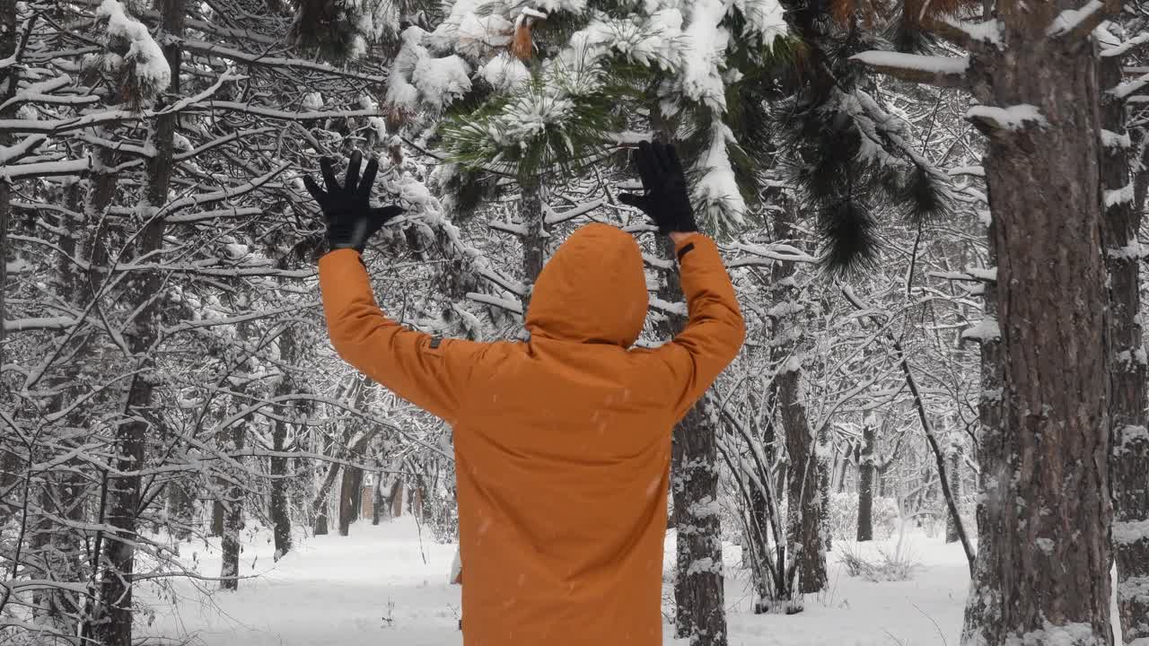 人拉松枝落雪视频素材