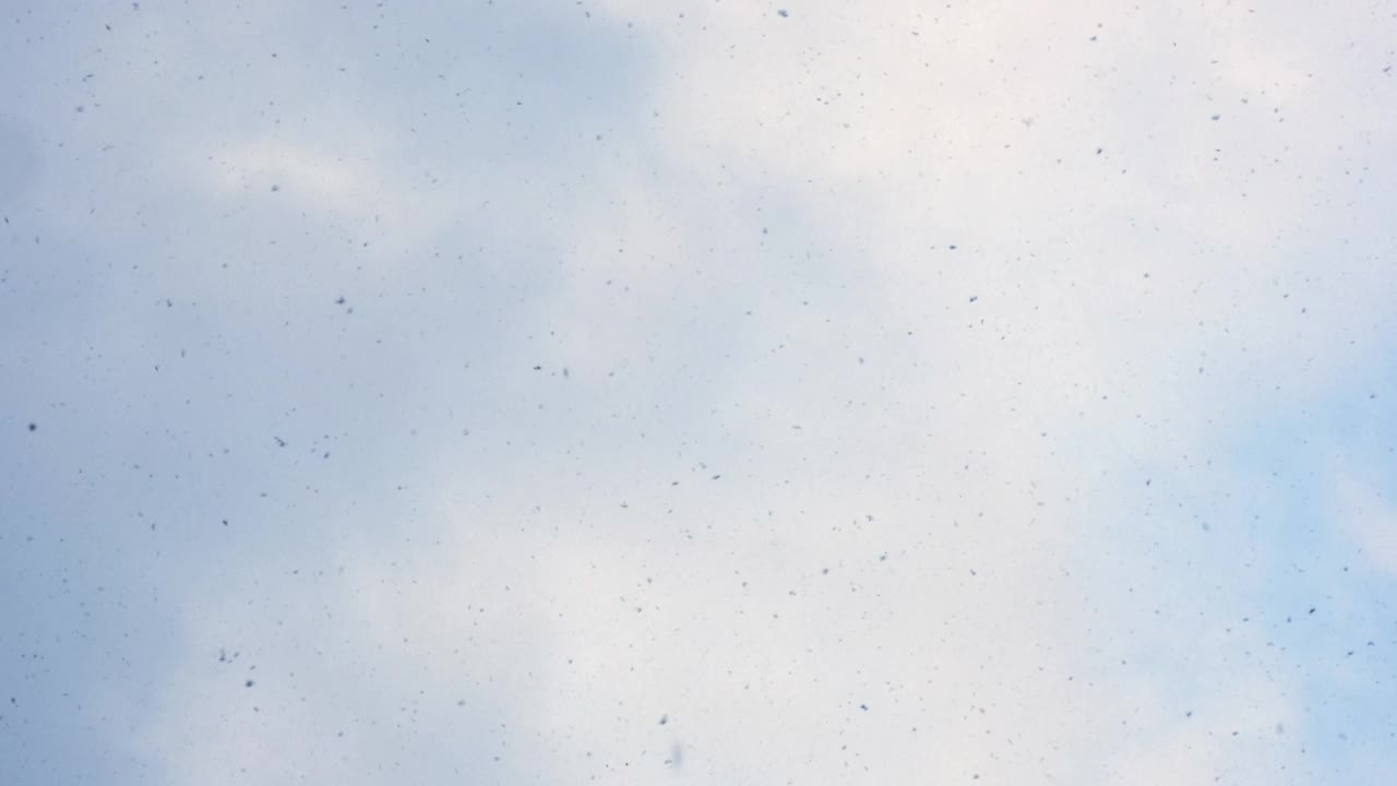 冬天雪的背景。雪花从天而降。冬天下雪，天气寒冷。暴风雪或者暴雪视频素材