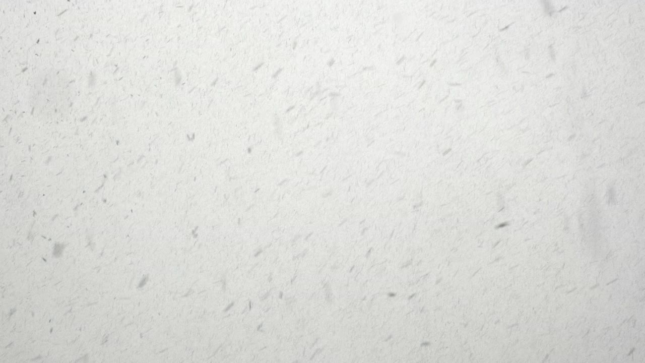 冬天雪的背景。雪花从天而降。冬天下雪，天气寒冷。暴风雪或者暴雪视频素材