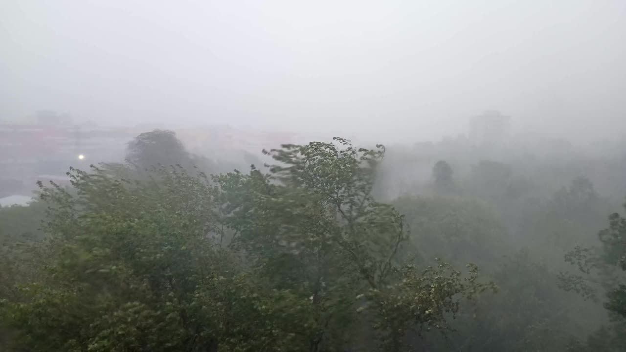 窗外有强烈的飓风。树在大雨和强风下视频素材