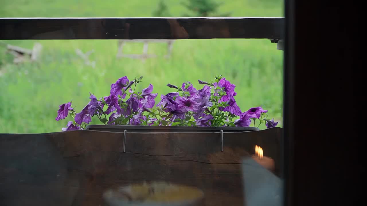 室外木制花盆里的紫色花朵视频素材