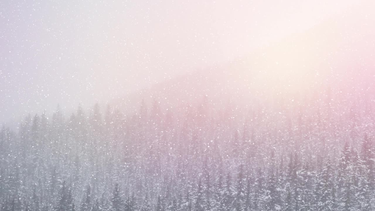 光点和雪花飘落在冬季景观与多个树木视频素材