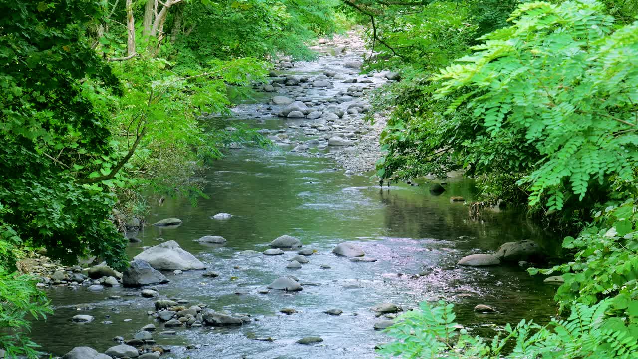 高山流水,日本北海道视频素材