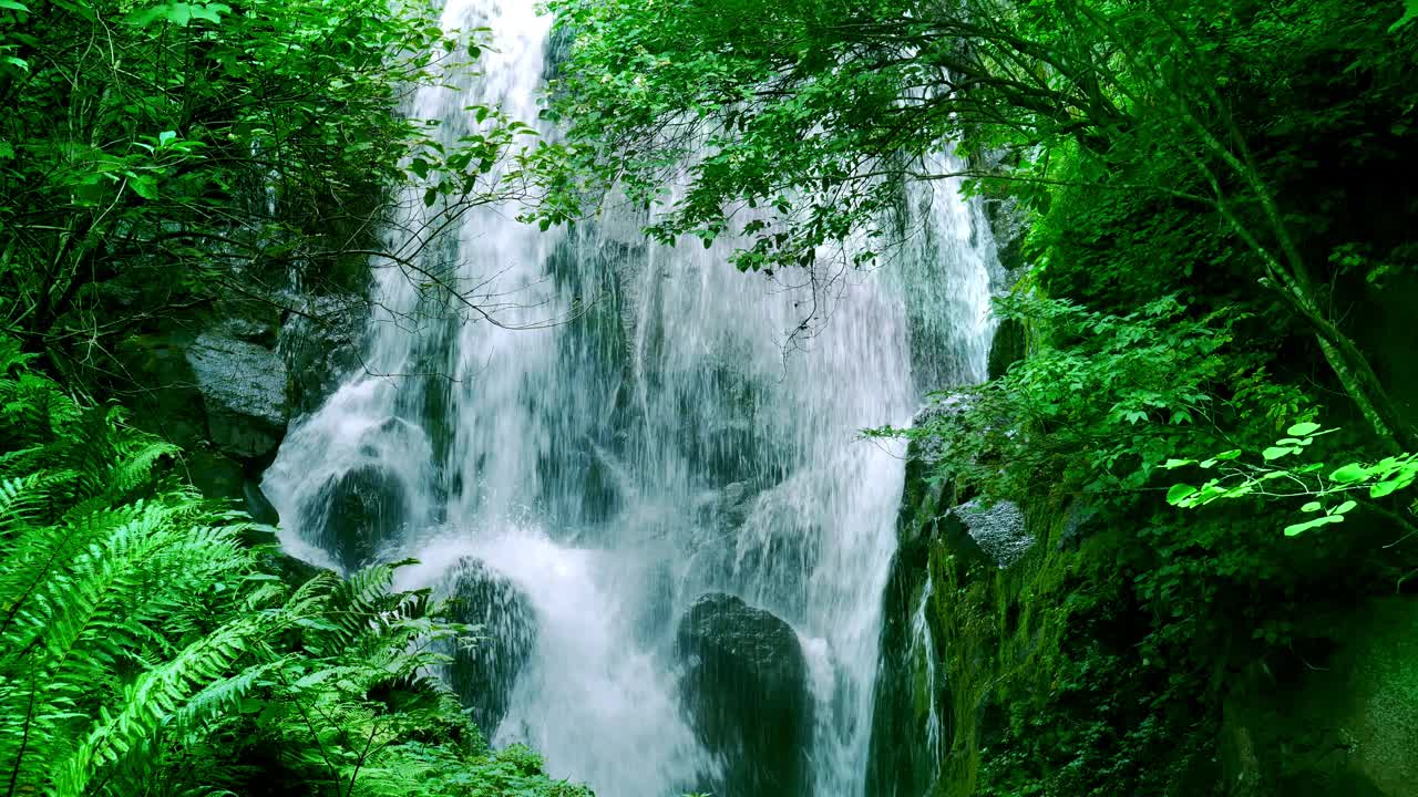 高山流水,日本北海道视频素材