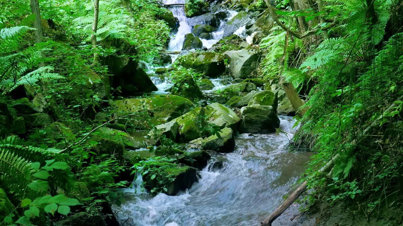 高山流水,日本北海道视频素材