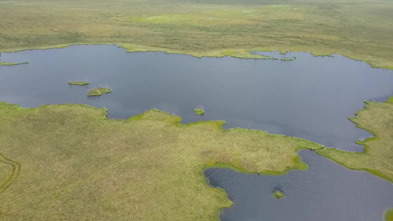 俯视图的沼泽景观。湖沼泽鸟瞰图。环境预订概念。视频素材