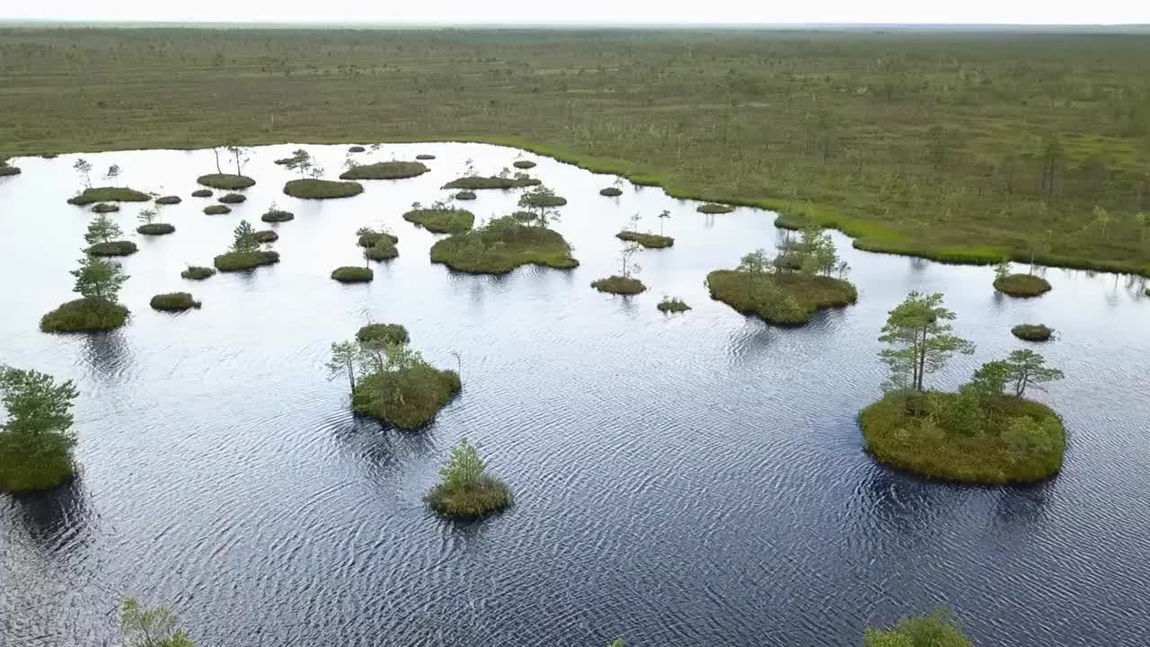 俯视图的沼泽景观。湖沼泽鸟瞰图。环境预订概念。视频素材