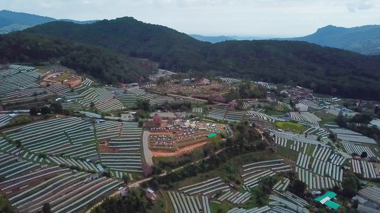 无人机在泰国清迈的自然山间公路之旅视频素材