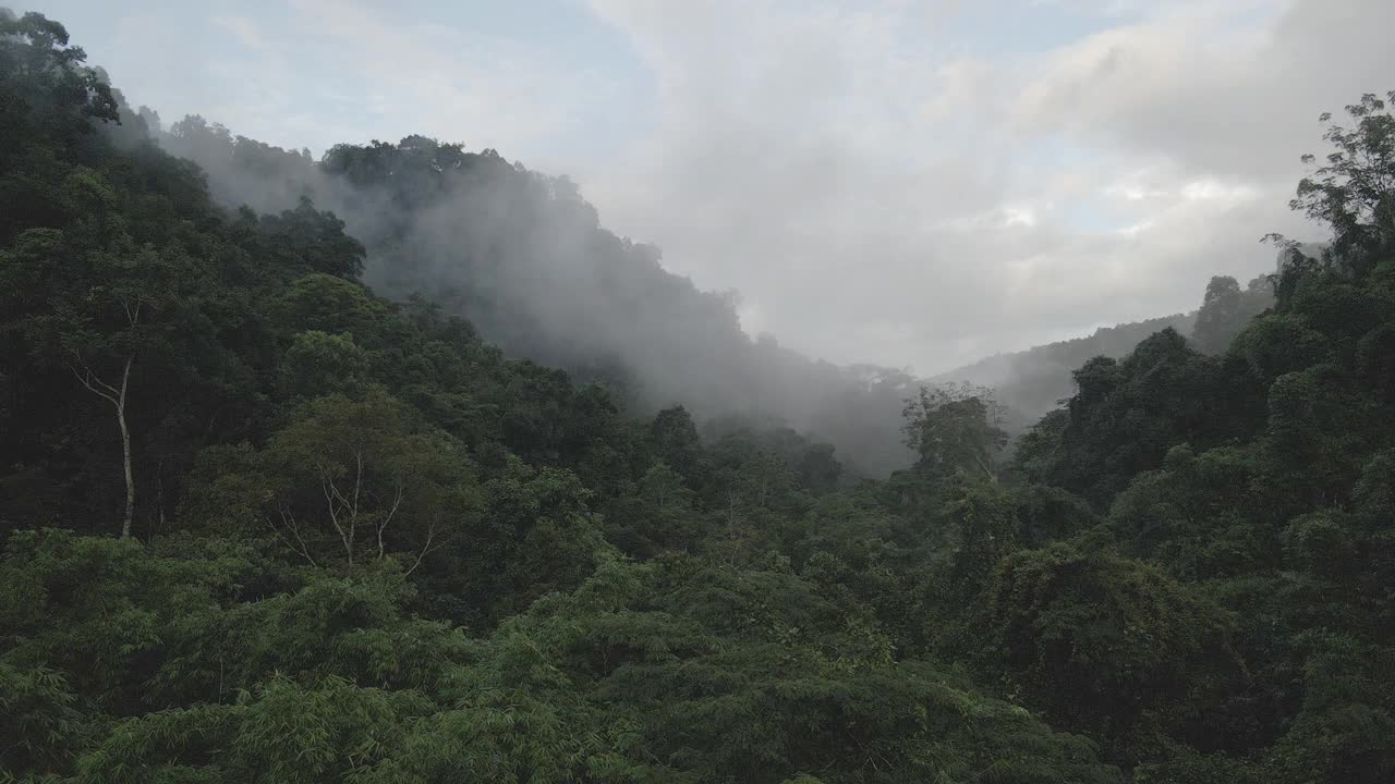 无人机在泰国清迈的自然山间公路之旅视频素材