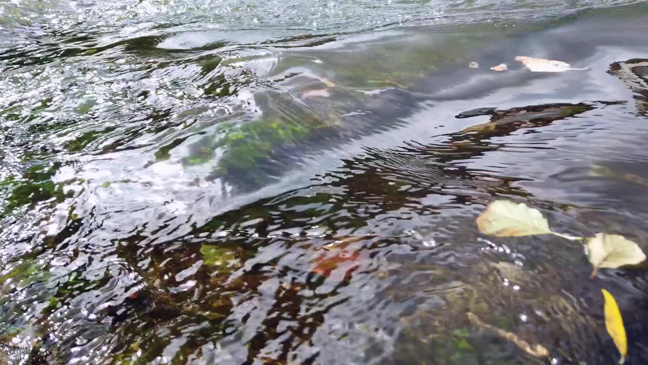 小溪有清澈的流水，饮用水视频素材