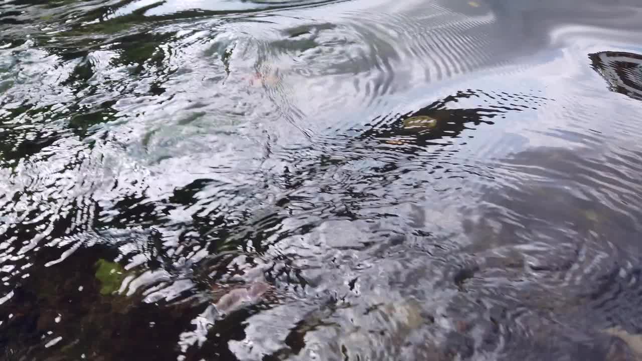 小溪有清澈的流水，饮用水视频素材