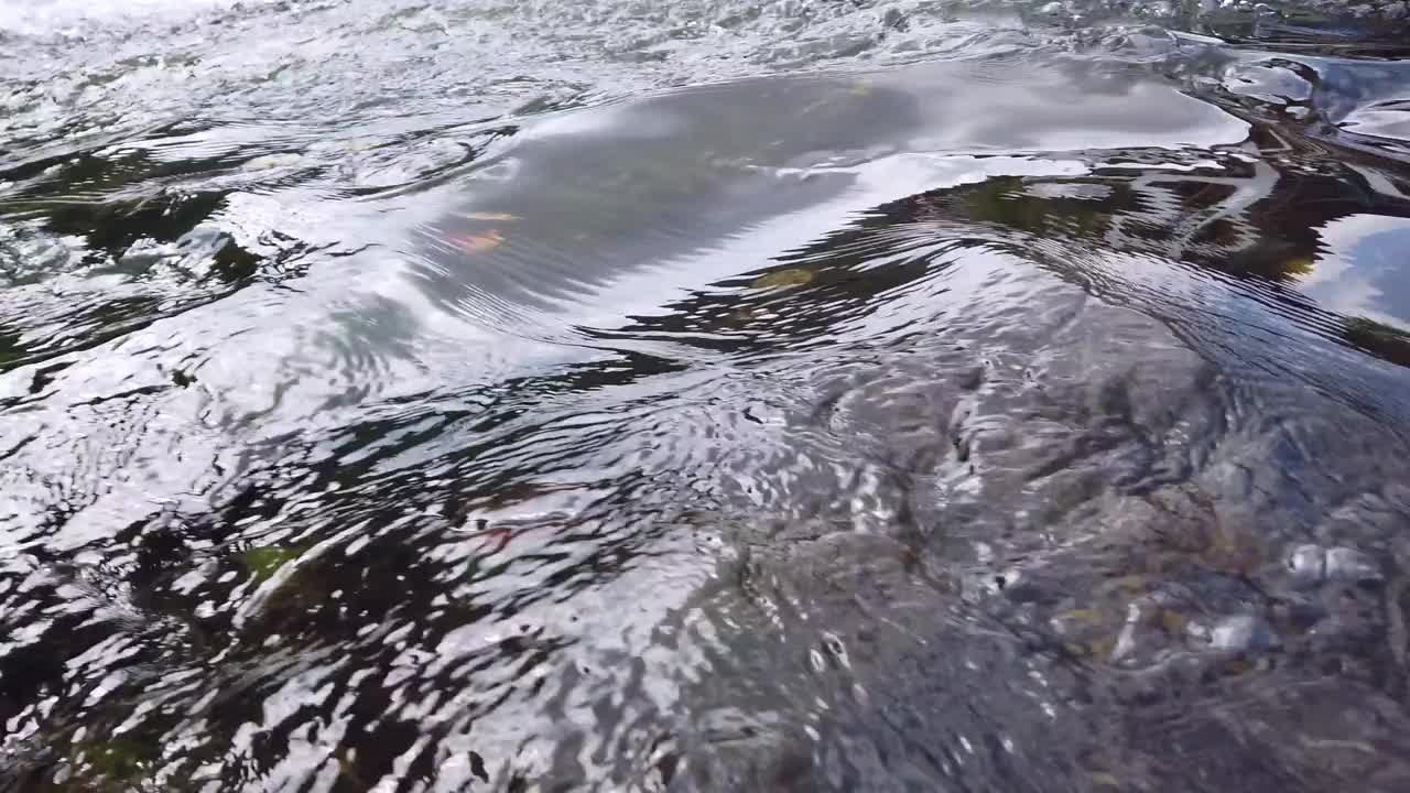 小溪有清澈的流水，饮用水视频素材