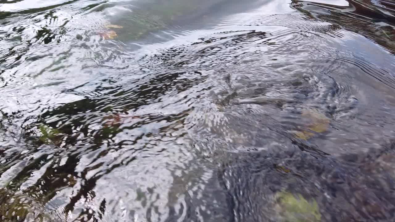 小溪有清澈的流水，饮用水视频素材