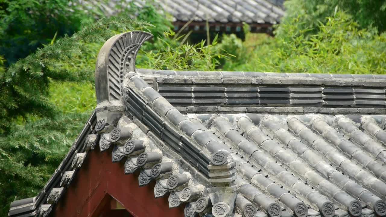 中国古代建筑竹林。视频素材