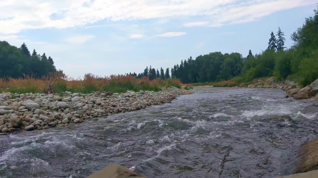 一条喧闹的山间河流在森林附近流过。洗净冷水，胶片颗粒，焦距视频素材