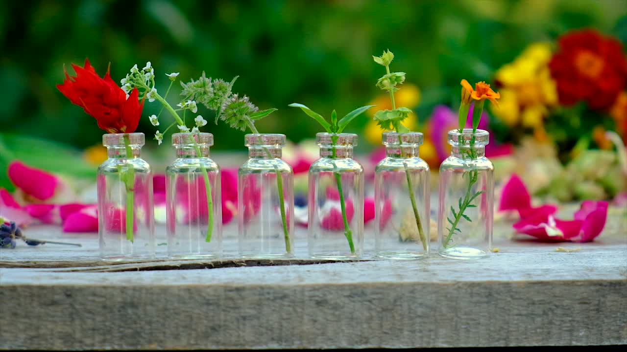 瓶中药草和花的精油。有选择性的重点。大自然。视频素材