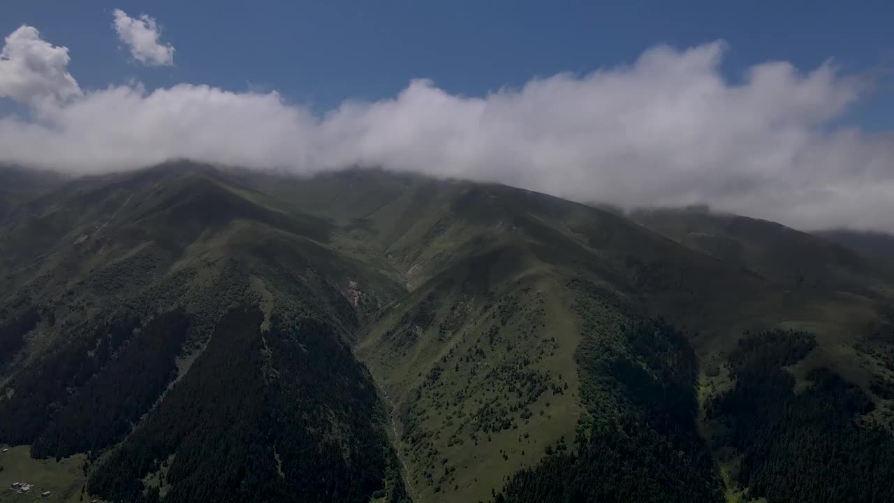 高山草甸视频素材