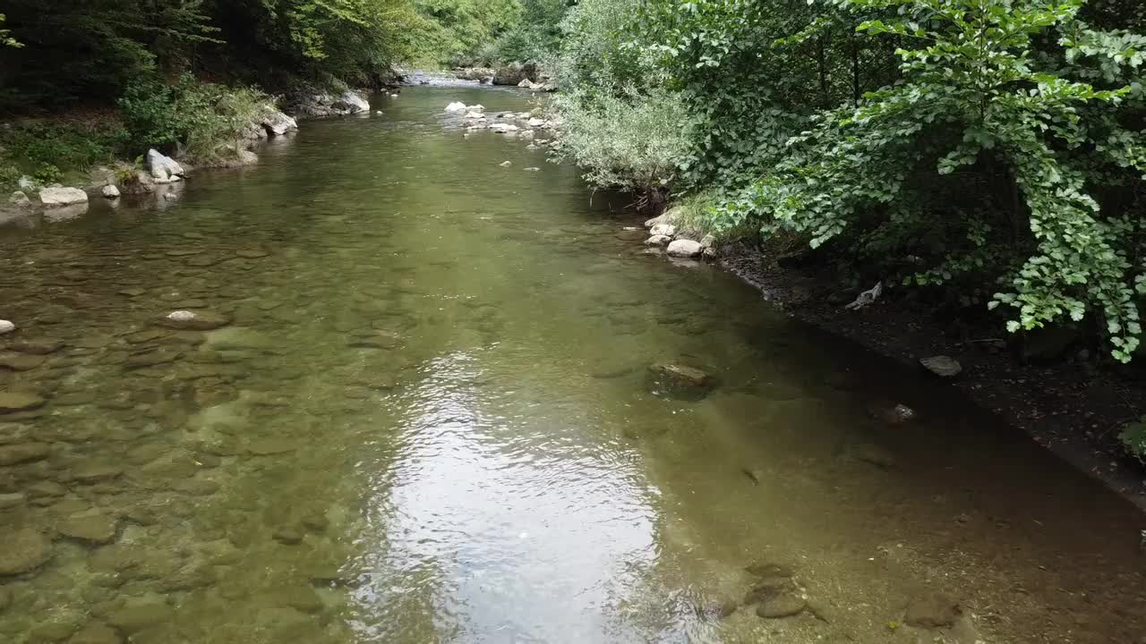 山河与纯净的水视频下载