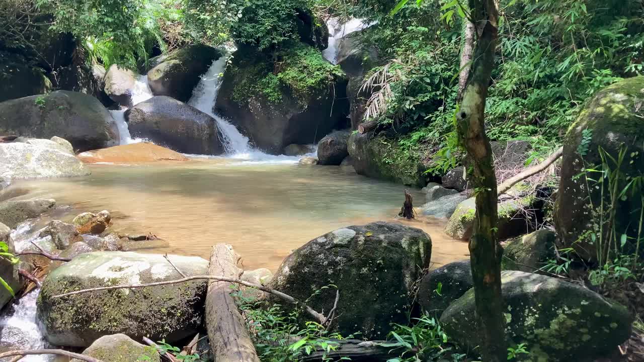 热带雨林的瀑布视频素材