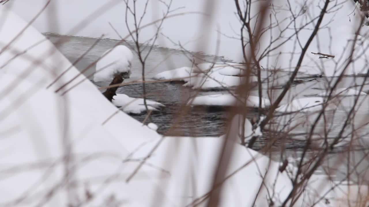 水被雪覆盖着视频素材