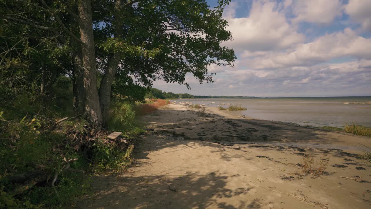 秋天波罗的海沿岸的白云视频素材