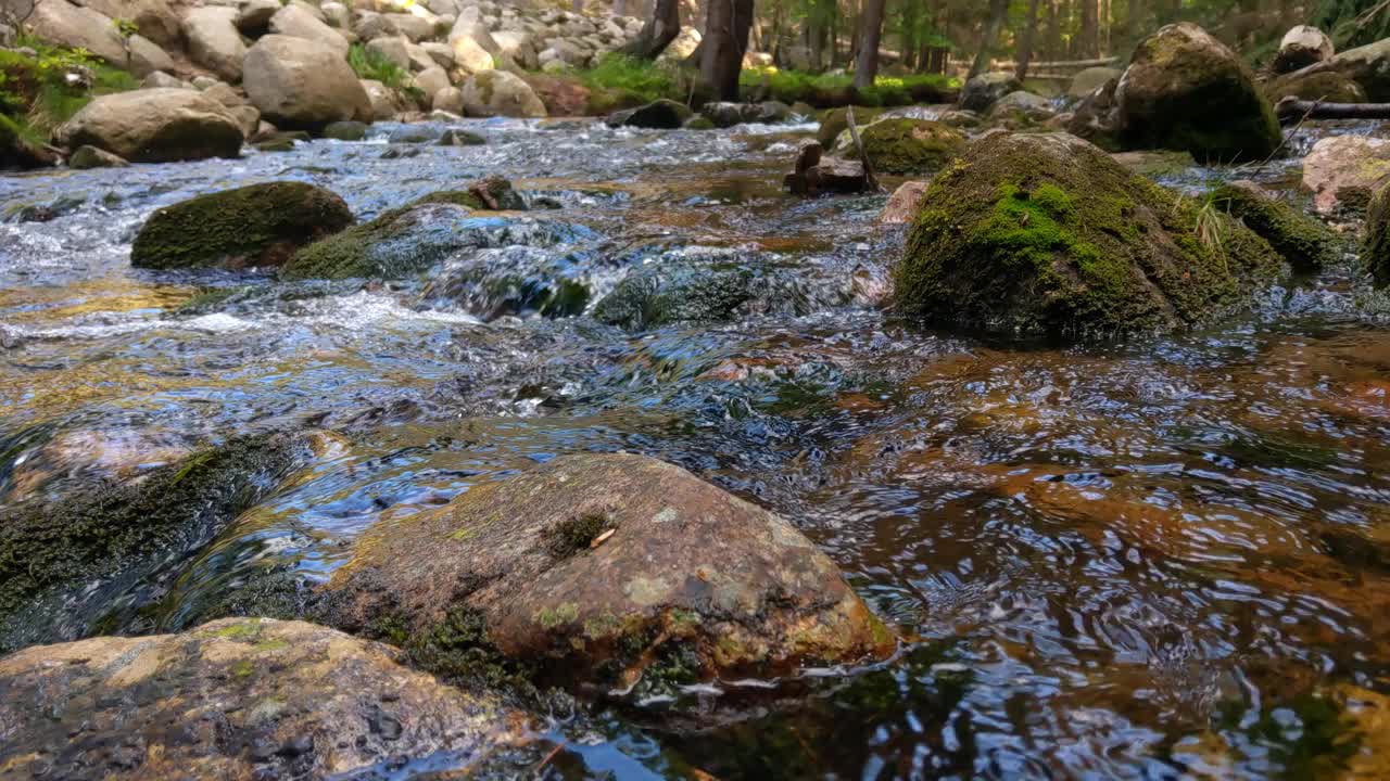 山涧里有冰冷清澈的水。河水从石头上流过视频素材