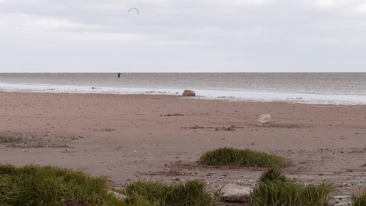 湖岸和风筝冲浪者在背景。视频素材