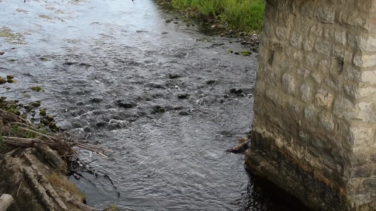 高清视频包括河流、河流花草、岩石、雨天的静水、特写、水上花园。视频素材