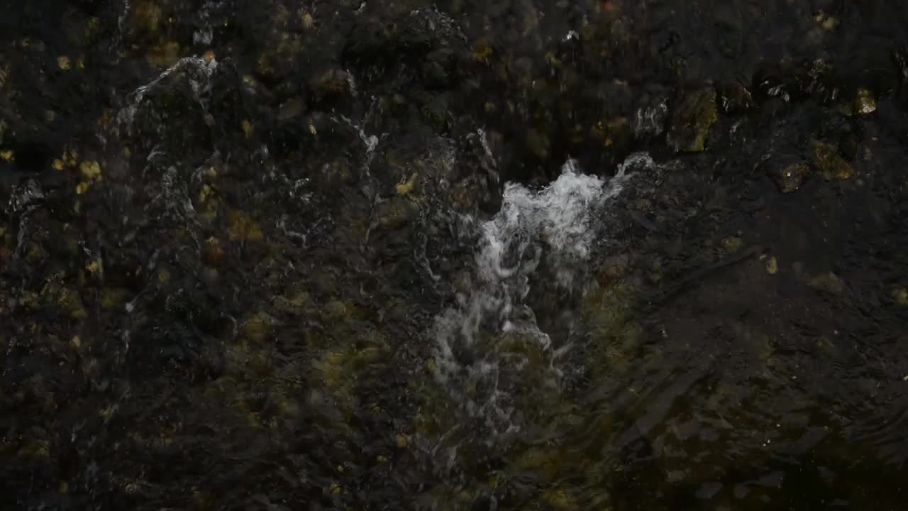 高清视频包括河流、河流花草、岩石、雨天的静水、特写、水上花园。视频素材