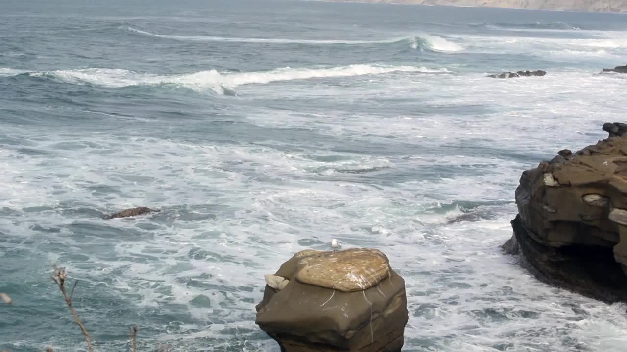 海鸥在岩石上与海浪碰撞视频素材