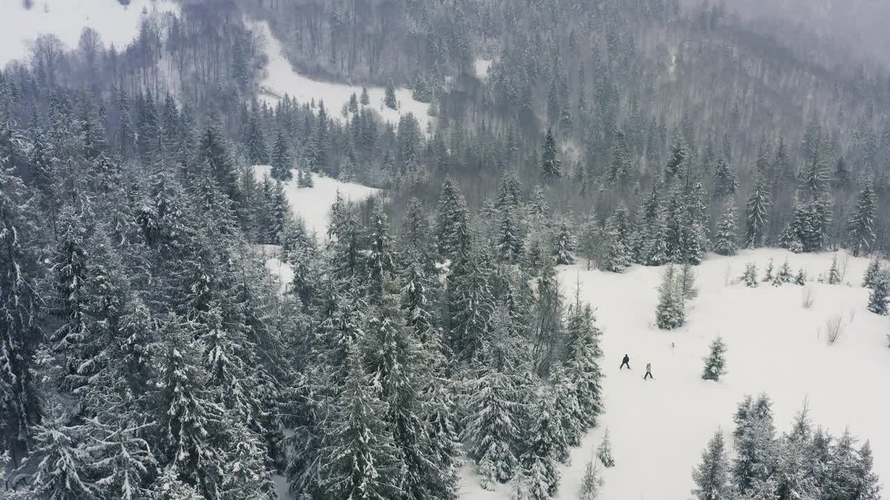 茂密的云杉森林覆盖着喀尔巴阡山脉的雪山和勇敢的滑雪者视频素材