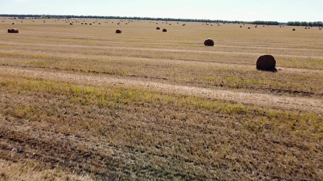 干草在田野的鸟瞰图上滚动视频素材