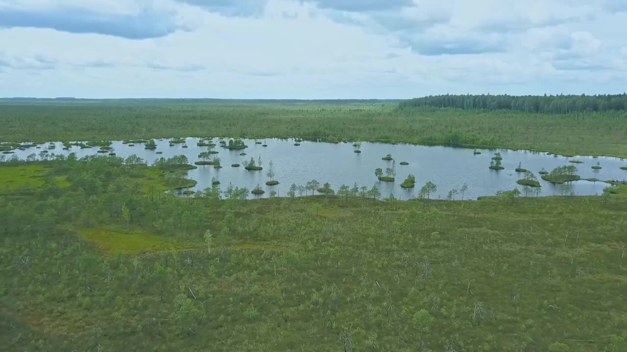 俯视图的沼泽景观。湖沼泽鸟瞰图。环境预订概念。视频素材