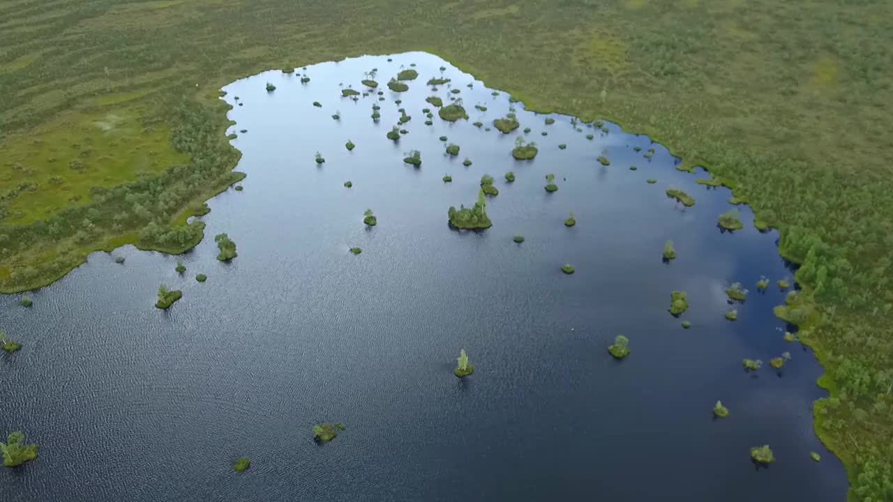 俯视图的沼泽景观。湖沼泽鸟瞰图。环境预订概念。视频素材